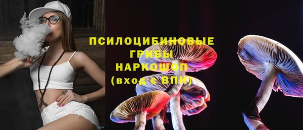 прущие грибы Мегион