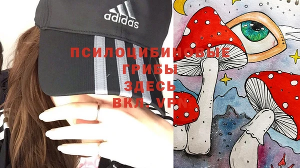 прущие грибы Мегион