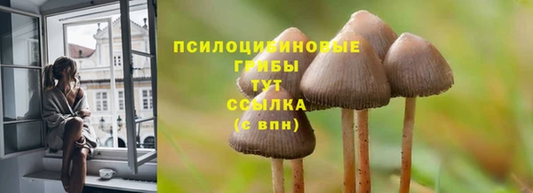 спайс Медногорск