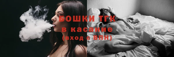 прущие грибы Мегион