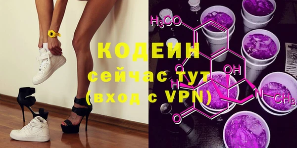 прущие грибы Мегион