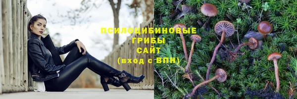 спайс Медногорск