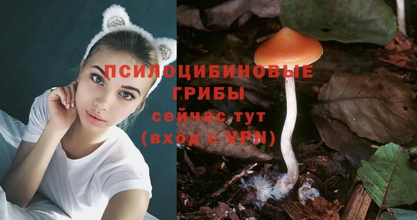 спайс Медногорск