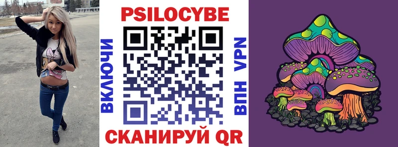 Галлюциногенные грибы Cubensis  Купить  Аша 